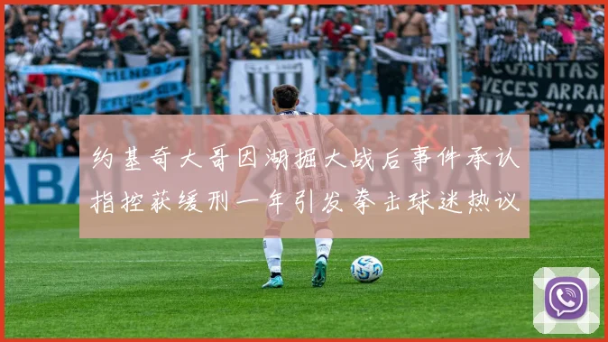 约基奇大哥因湖掘大战后事件承认指控获缓刑一年引发拳击球迷热议