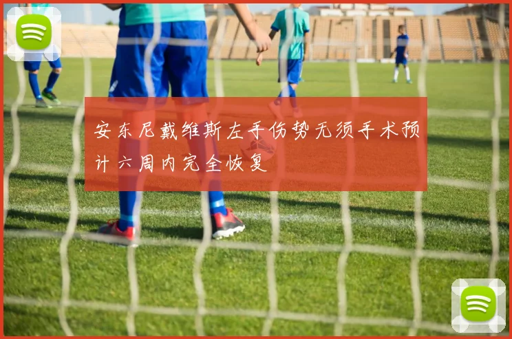 安东尼戴维斯左手伤势无须手术预计六周内完全恢复