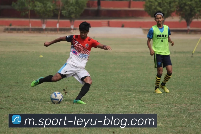 乐鱼体育全站App